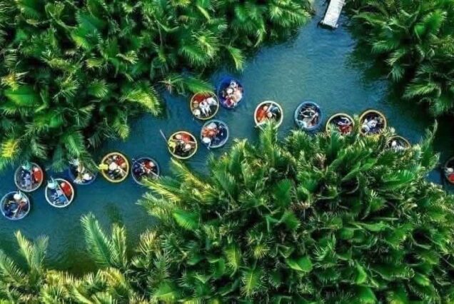 Tour Rừng Dừa Bảy Mẫu