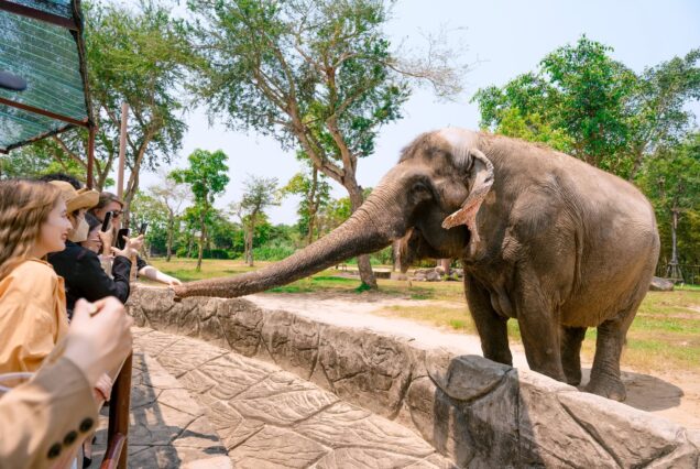 River Safari Hội An